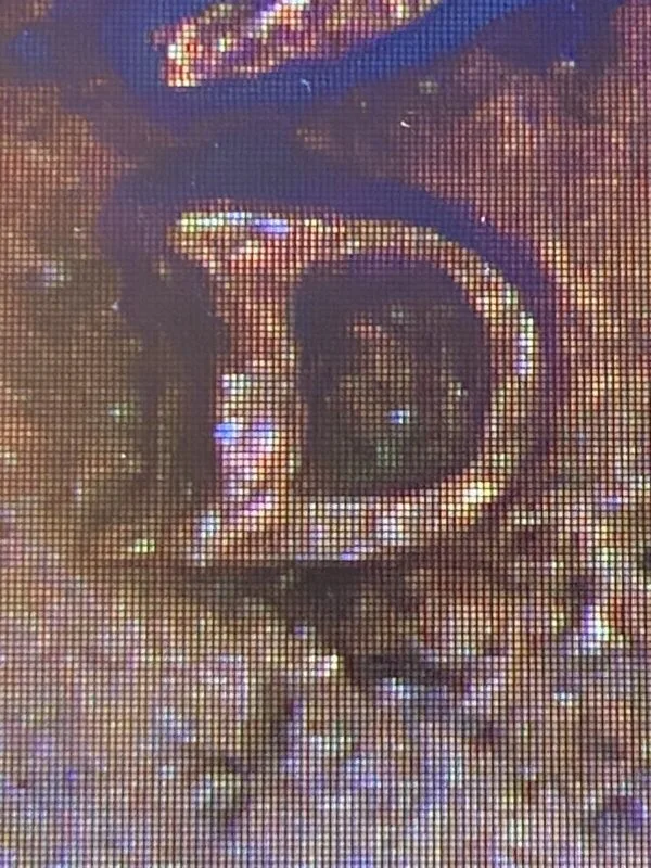 1953-D/D Repunched Mint Mark Lincoln cent error
