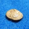 Septimus Severus Roman Empire Ancient Silver Coin